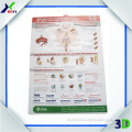 2015 3D Medical Poster/Anatomy Chart For Hospital Promotional Gifts